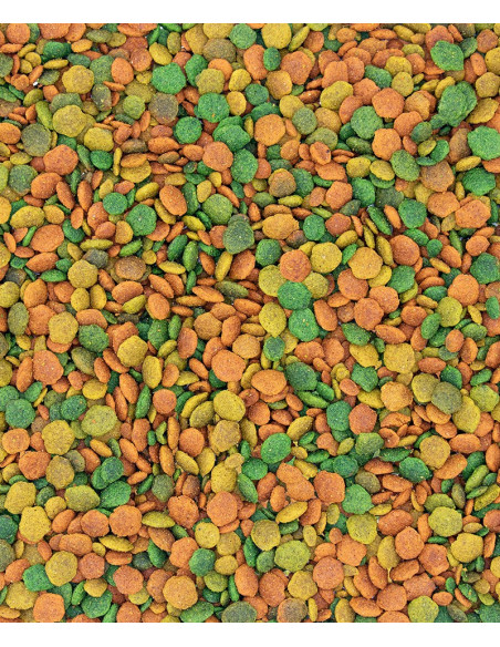 NUTRIBIRD COTORRAS G14 TROPICAL 1KG ( 6 )