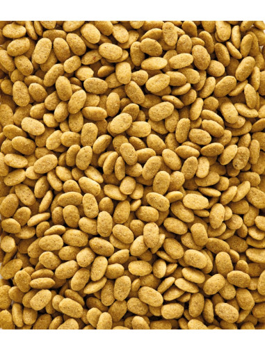 NUTRIBIRD LOROS ORIG. P15-1KG MANT. ( 6 )