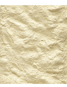 NUTRIBIRD LECHE DESTETE LOROS A19-800GR ( 6 ) 2