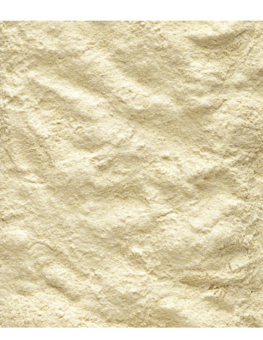 NUTRIBIRD LECHE DESTETE LOROS A19-3KG