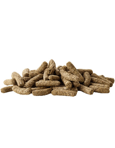COMPLETE CUNI ADULT 1.75 KG (5)