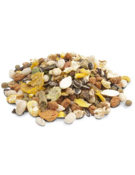 CRISPY MUESLI HAMSTERS 750GR (5)