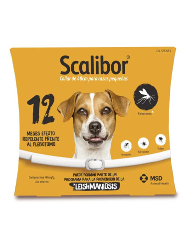 SCALIBOR 48 CM