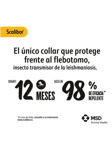 SCALIBOR 48 CM