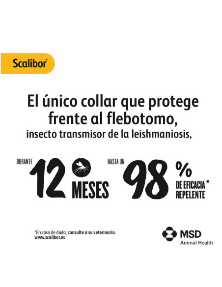 SCALIBOR 48 CM