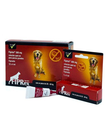 FIPREX PERRO L 12*4 ml/300mg