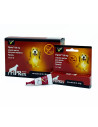 FIPREX PERRO M 12*2 ml/150mg