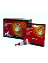 FIPREX GATOS  12*0.7 ml/52.5mg