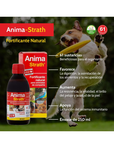 ANIMA STRATH 100 ML