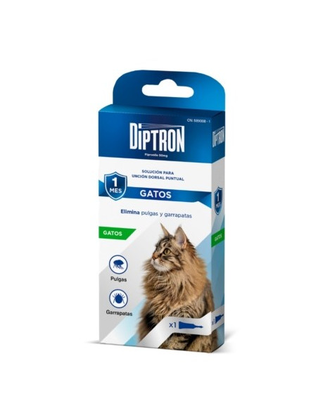 DIPTRON PIPETA GATO 1UD