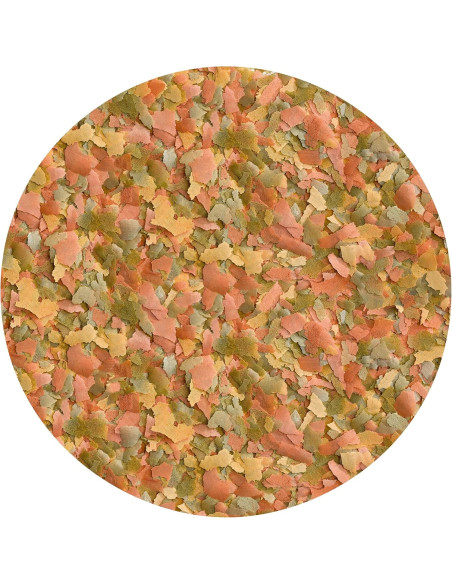 VT VITA GOLD FLAKES PECES DE AGUA FRÍA 250 ML. (CAJA DE 5)