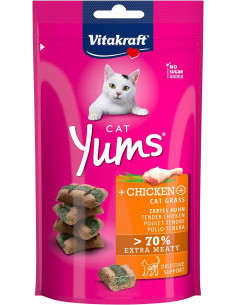 VT CAT YUMS® POLLO CON HIERBA GATERA 40 G (CAJA DE 9)