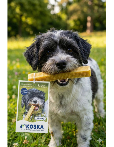 KOSKA CHHURPI XS