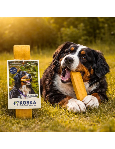 KOSKA CHHURPI L