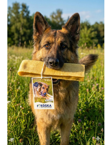 KOSKA CHHURPI XXL