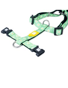 M&M ARNES H Margarite XS (1.0 cm. x 24-39/32-40 cm.) Hasta 9 Kg. 2