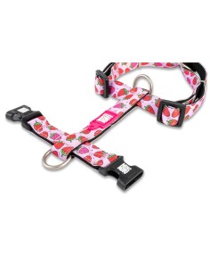 M&M ARNES H Strawberry Dream XS (1.0 cm. x 24-39/32-40 cm.) Hasta 9 Kg. 2