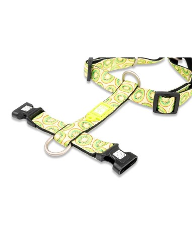 M&M ARNES H Kiwi L (2.5 cm. x 46-77/71-98 cm.) Hasta 40 Kg.