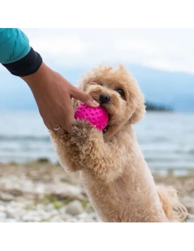 KIWI BALL MINI ROSA