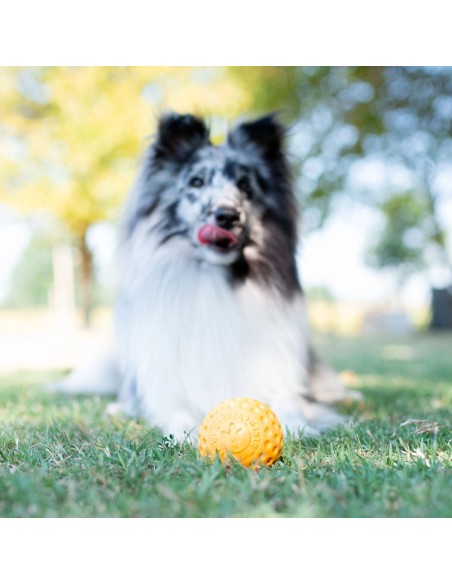 KIWI BALL MINI NARANJA