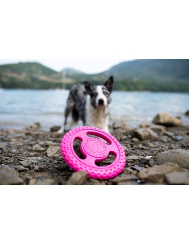 KIWI FRISBEE MINI ROSA