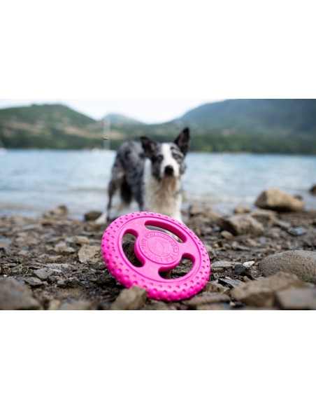KIWI FRISBEE MINI ROSA
