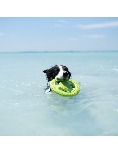 KIWI FRISBEE MINI VERDE