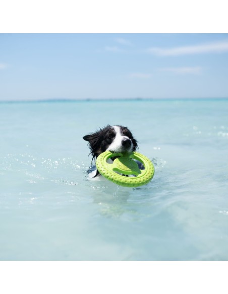 KIWI FRISBEE MINI VERDE