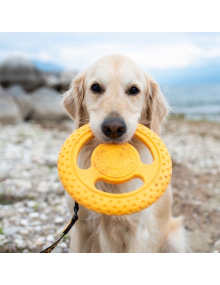 KIWI FRISBEE MINI NARANJA