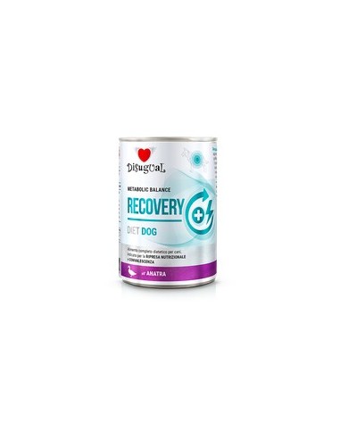 *RECOVERY* DUCK DISUGUAL DIET DOG WET FOOD 400 GR (6)