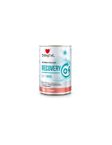 *RECOVERY* SALMON DISUGUAL DIET DOG WET FOOD 400 GR (6)