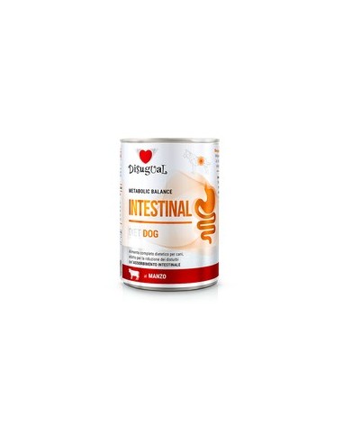 *INTESTINAL* BEEF DISUGUAL DIET DOG WET FOOD 400 GR (6)