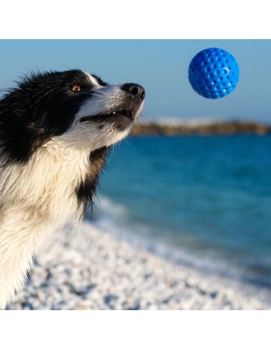 KIWI BALL AZUL MAXI