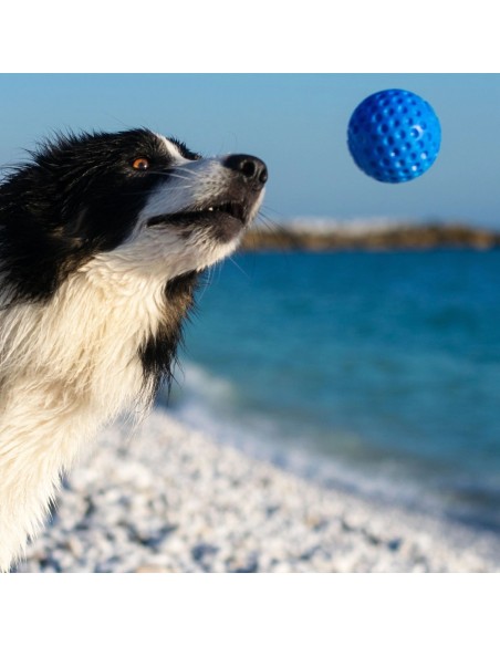KIWI BALL AZUL MAXI