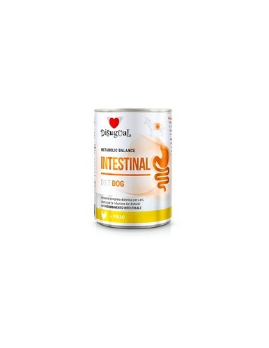 *INTESTINAL* CHICKEN DISUGUAL DIET DOG WET FOOD 400 GR (6)