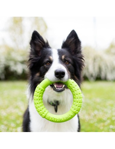 KIWI RING VERDE MAXI
