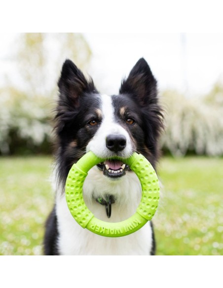 KIWI RING VERDE MAXI