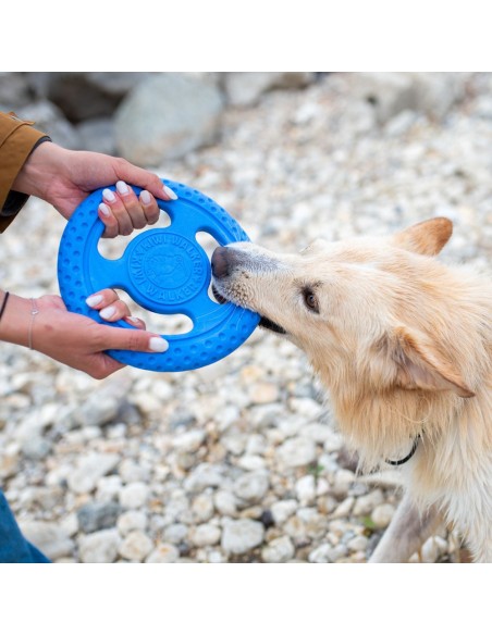KIWI FRISBEE AZUL MAXI