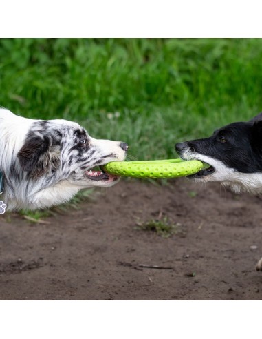 KIWI FRISBEE VERDE MAXI
