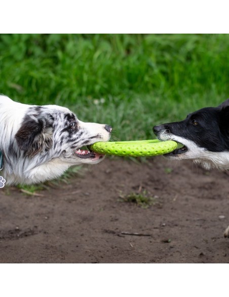 KIWI FRISBEE VERDE MAXI