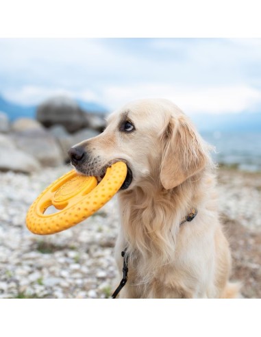 KIWI FRISBEE NARANJA MAXI