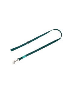 FD TIRADOR NYLON BASIC VERDE M 20MM X 120CM 2