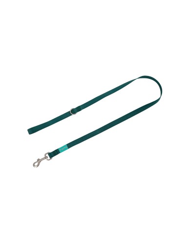 FD TIRADOR NYLON BASIC VERDE M 20MM X 120CM