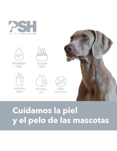 PSH BALSAMO OTIC CLEANER 100ML