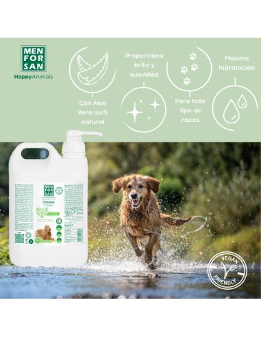MENFORSAN CHAMPU ALOE VERA 5L (2UD)