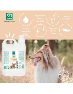 MENFORSAN CHAMPU ACEITE DE VISÓN 5L (2UD) 2