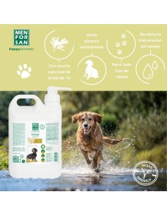 MENFORSAN CHAMPU ANTIPICORES ARBOL DEL TE 5000 ML (2UD) 2