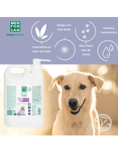 MENFORSAN CHAMPU PELO BLANCO 5L (CAJA 2UD) 2