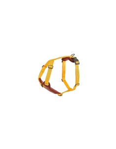 FD ARNES LINUM YELLOW SUNRISE S 15MMXCUELLO 30/42CM P
