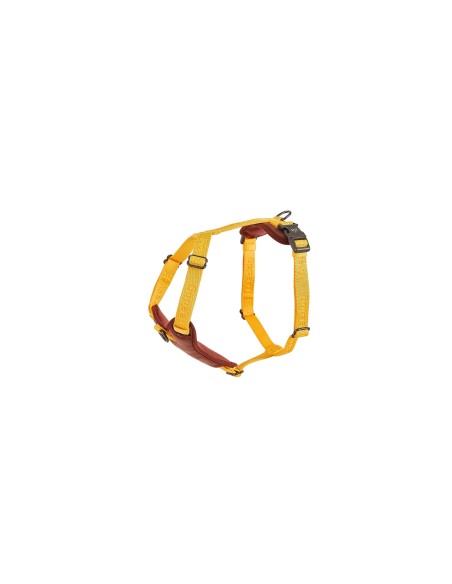 FD ARNES LINUM YELLOW SUNRISE S 15MMXCUELLO 30/42CM P